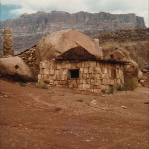 Josephine Foster - Domestic Sphere  CD